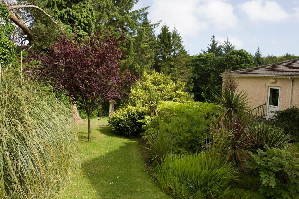 Cwmwennol Country House Saundersfoot Eksteriør bilde
