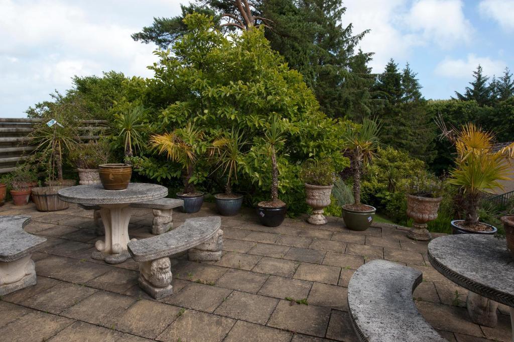 Cwmwennol Country House Saundersfoot Eksteriør bilde